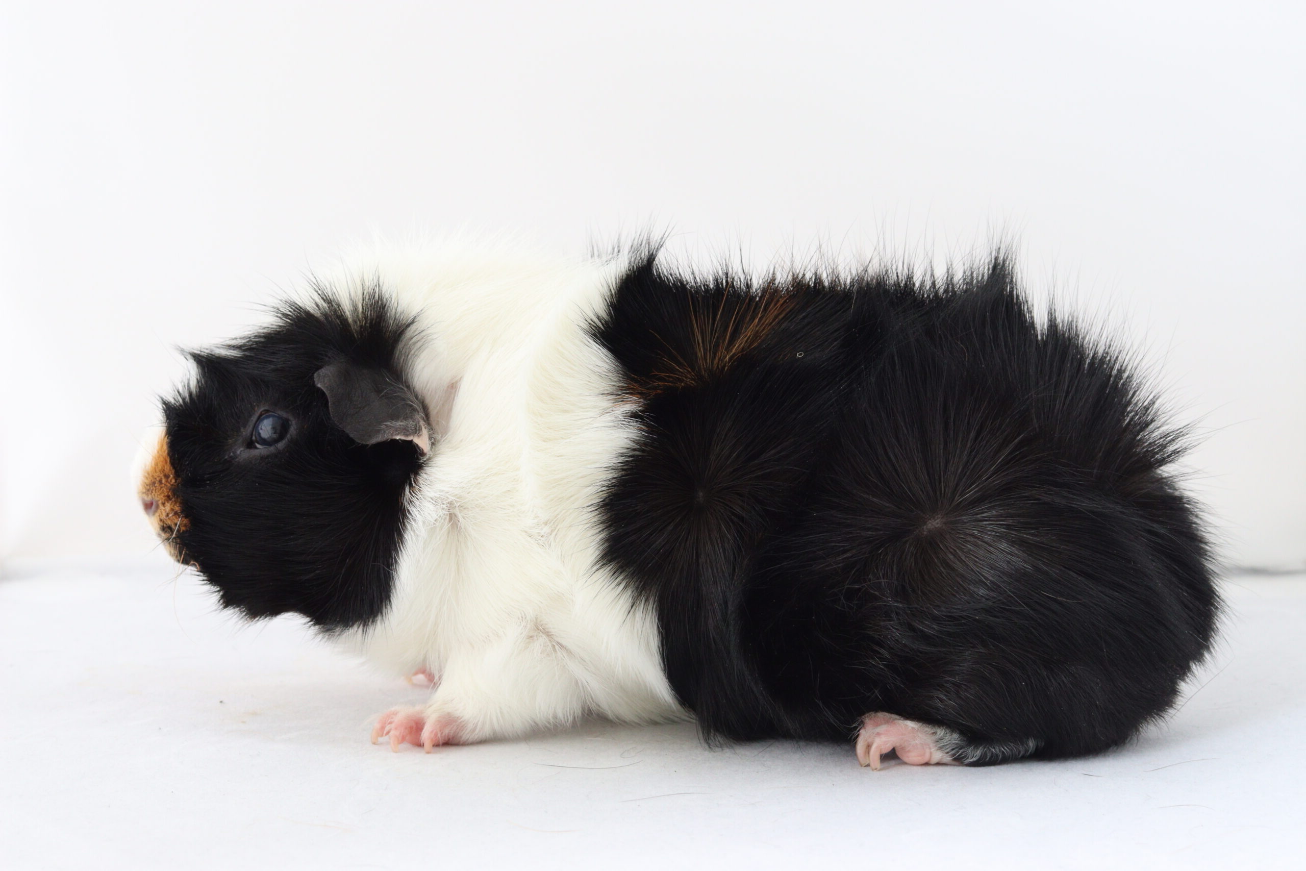 HanIMG_1893-scaled-e1718545069562