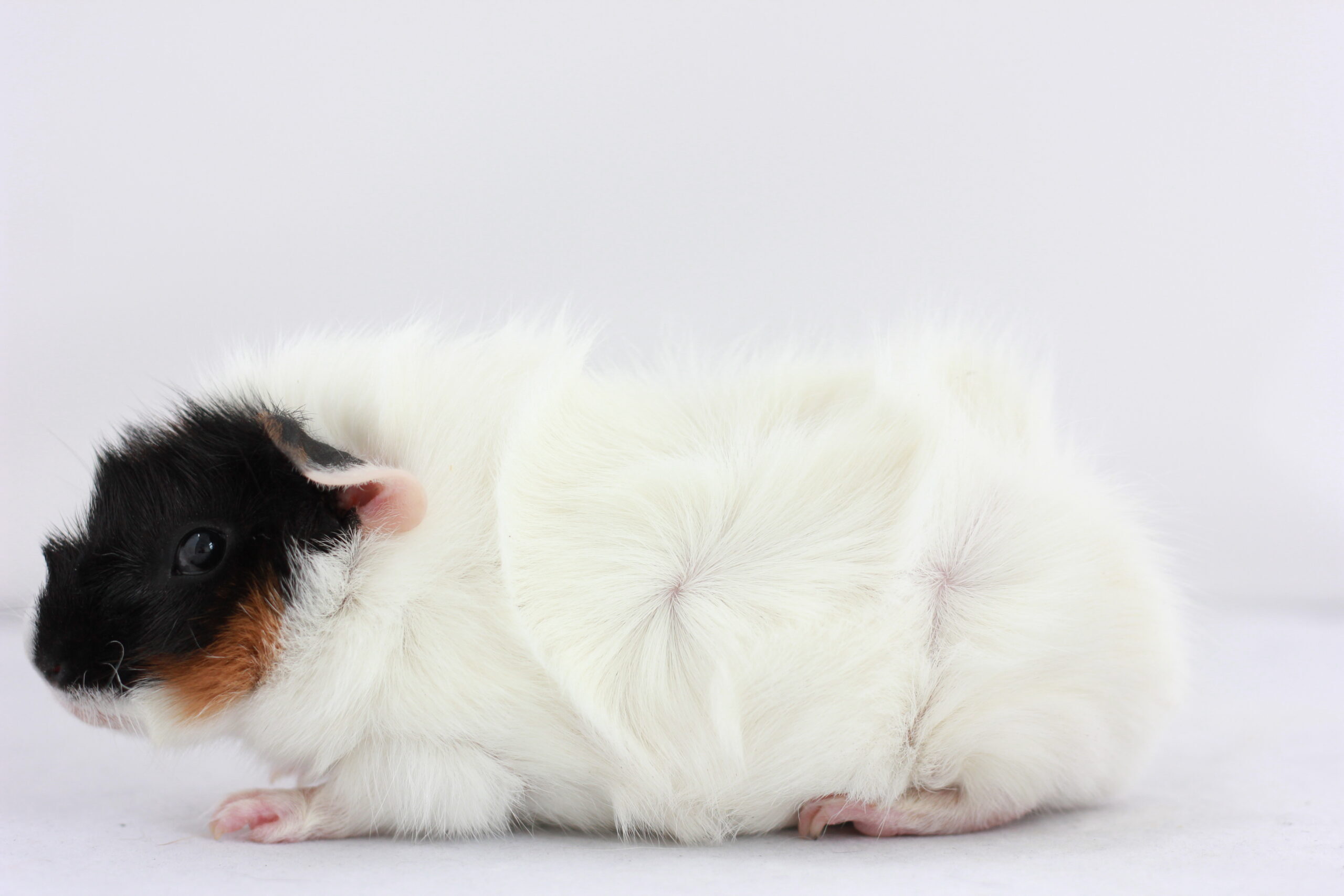 uriane_2_ny-scaled-e1689683578958